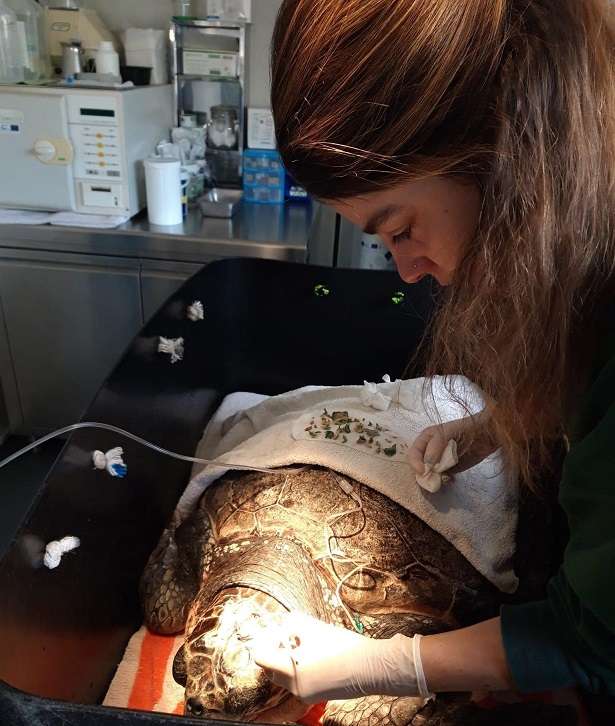 274859496 10159393996491328 5555757427758172795 n