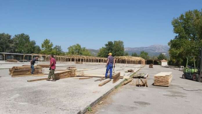 307091505 909436523348813 7769165873296071295 n