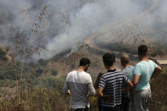 Algeria Fires