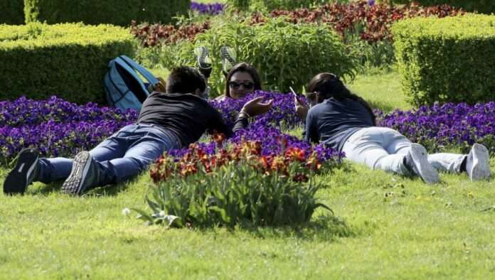 People lie between flowers on a sunny day in Vienna