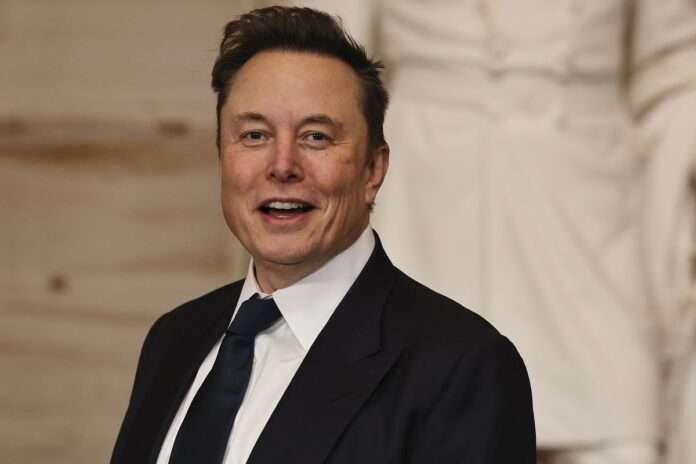 Musk 2