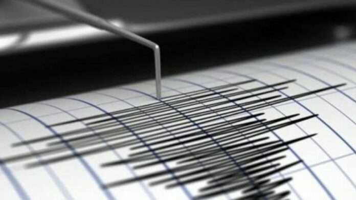 seismografos 768x431 1