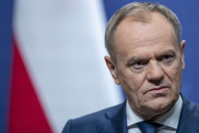 tusk