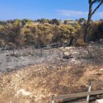 1000027868 1024×768