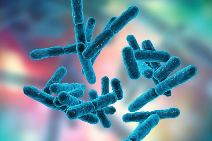 1740586502 archaea or archaeas what are examples and difference with bacteria