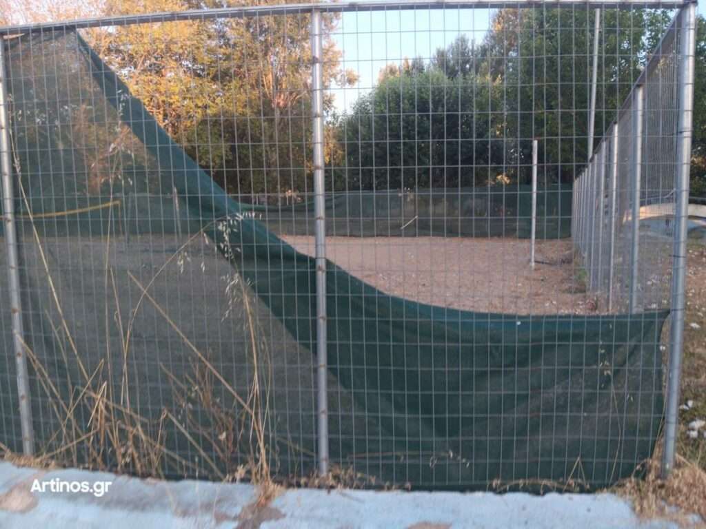 20250712_203625 20250712 203625