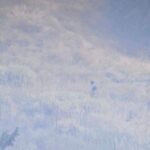 812d0f20 0e30 4ccc 92f8 0a2481a32d41 1 1024×478