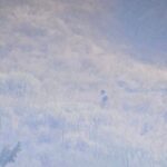 812d0f20 0e30 4ccc 92f8 0a2481a32d41