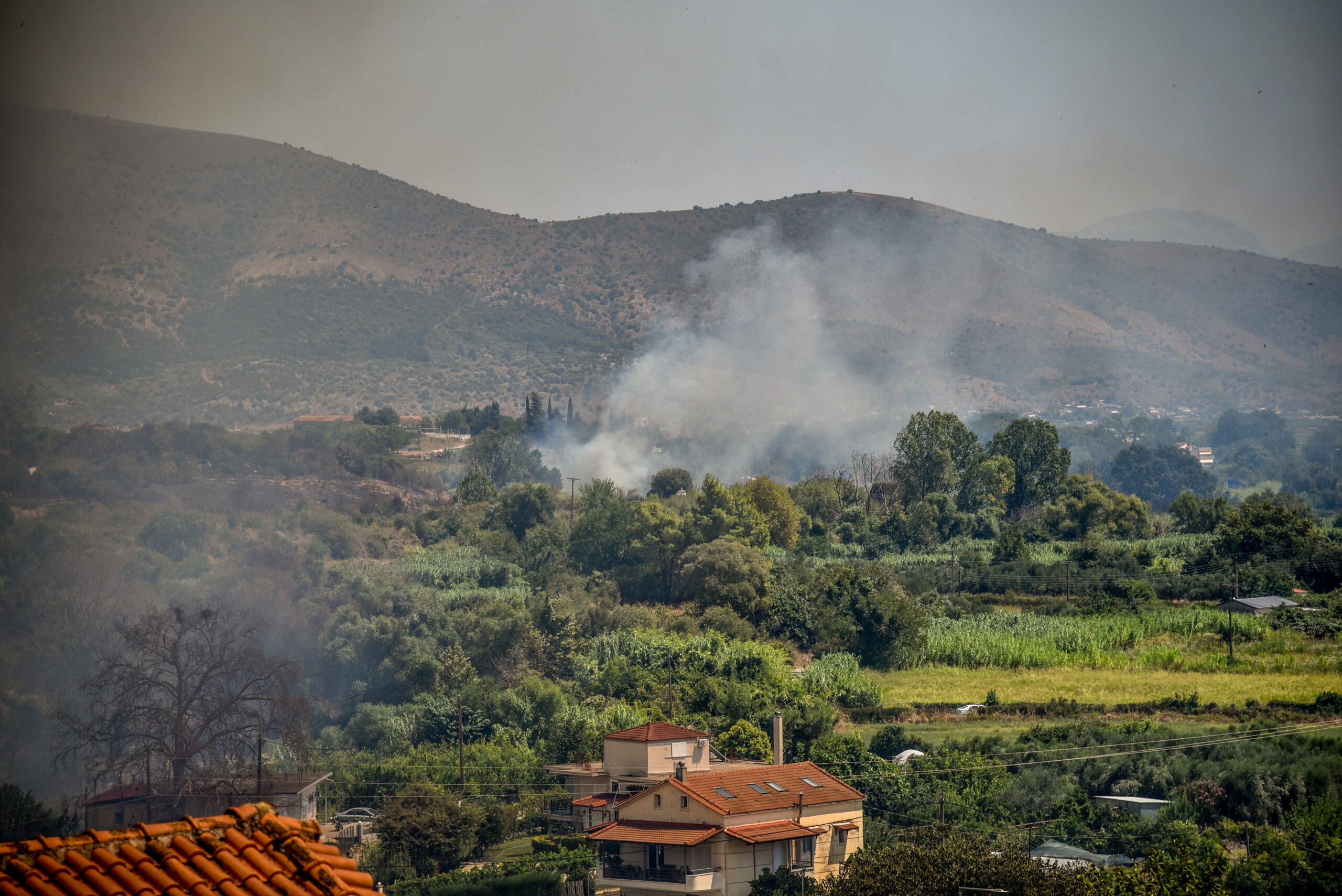 ΠΥΡΚΑΓΙΑ ΣΤΗΝ ΦΙΛΙΠΠΙΑΔΑ ΠΡΕΒΕΖΑΣ (ΓΙΩΡΓΟΣ ΕΥΣΤΑΘΙΟΥ/EUROKINISSI)