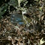 img 26dfd71194f852702728cd6c9b3f0929 v 768×1024