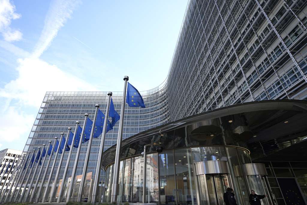 Belgium EU Digital Services Act