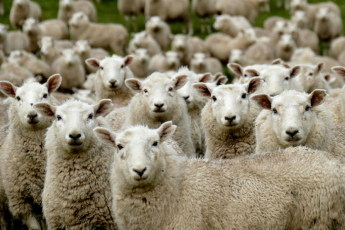 017f271f44ed061ee4aaeb3c2d7cf128 L