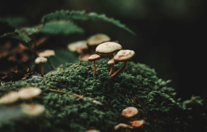 07a5c8e7f01c05e992654fe4cfb3a89b L