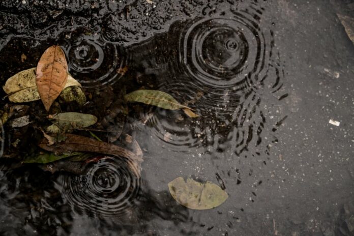 147bdf508a23862c48d3a78dede52358 L