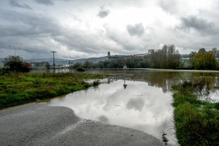 1e4a36b51a3a2973cd9706545f9718e4 L