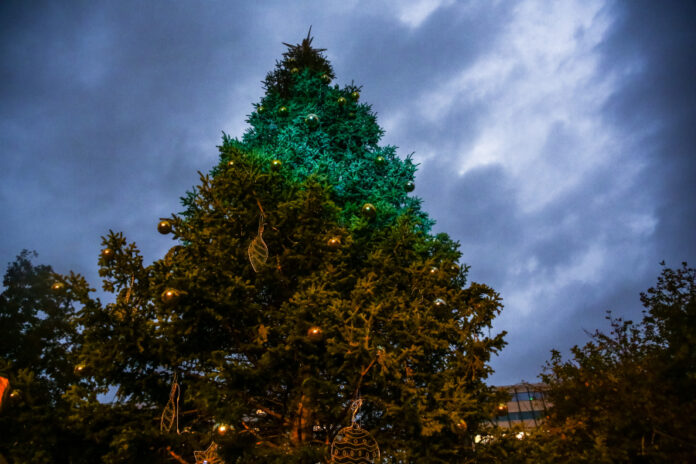 2f4064420d2a43e42035273a0659ce92 L