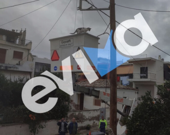 3887bfc6c1bfd0ea130362ca50c5f928 L