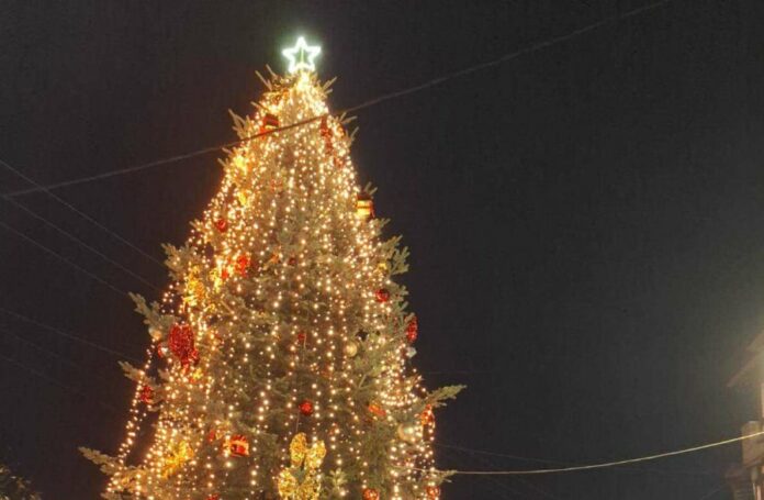 3fcab83e8398545d1d6ace517873f992 L