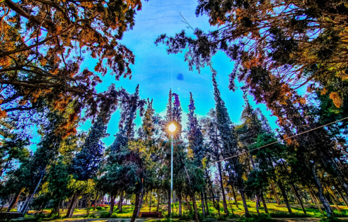 424ed9ba333bb86212c790758042687b L