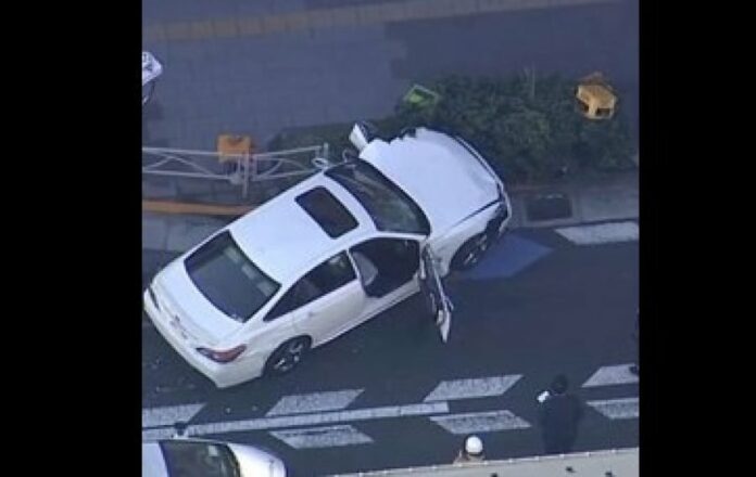 4f3658e2fd306151a0f3804145c9d629 L