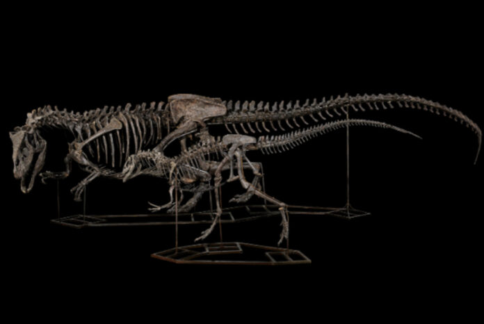 566842ef070303aa80cc37042b326fc3 L