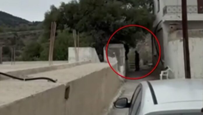 7977fbfa6d64789cc8596a8357e96fbb L