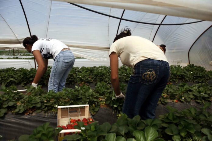 afd676096bce028004ca9edc2ef15cf0 L