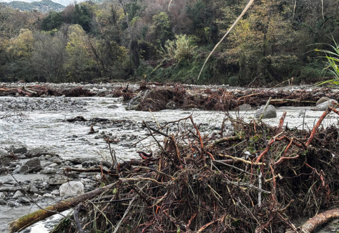 b801660a95caec2b224a8a01c0296618 L