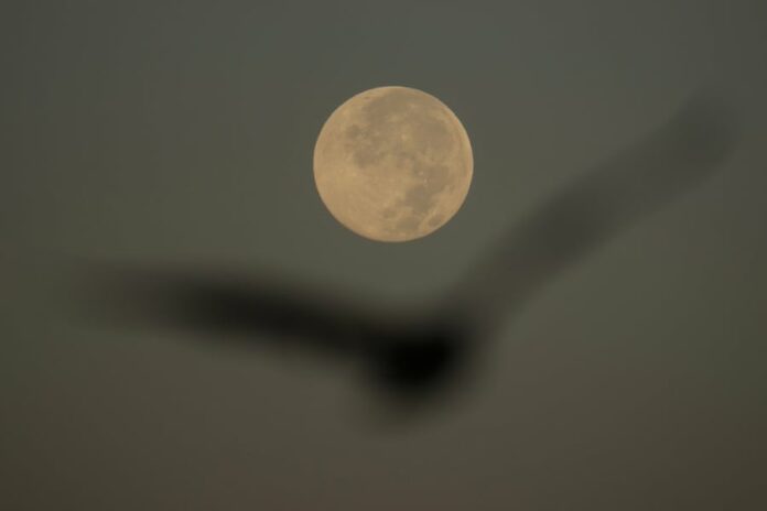 bdb651999f0761cd8f7093c0cc244a8b L