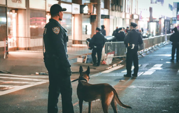 ca941b02649a69ee09fba5eb98a6bc49 L