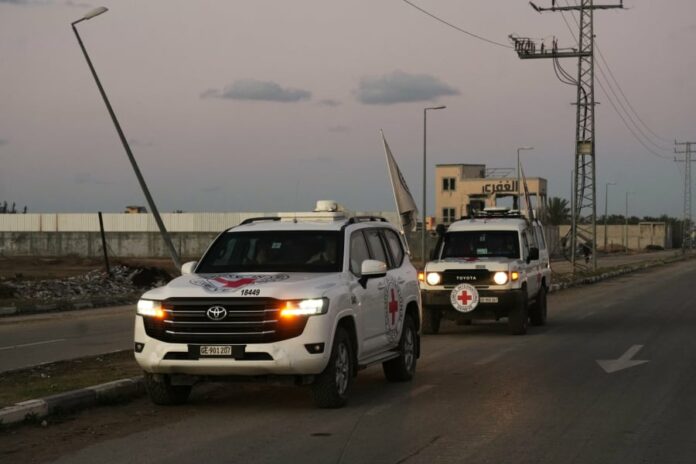 d1025390e3bc8aa59efa8feebd2af45e L