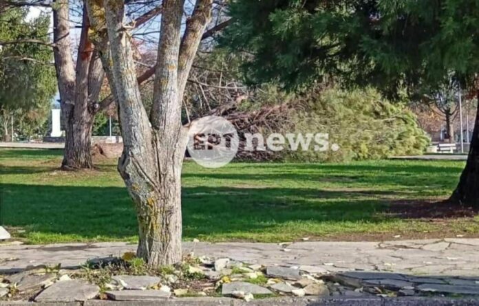 d465f88e096214f3c1e559c6740d58d9 L