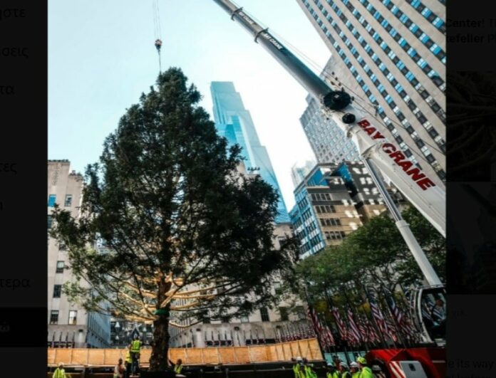 d9c07d6d2ba0e33b2489decd93554831 L