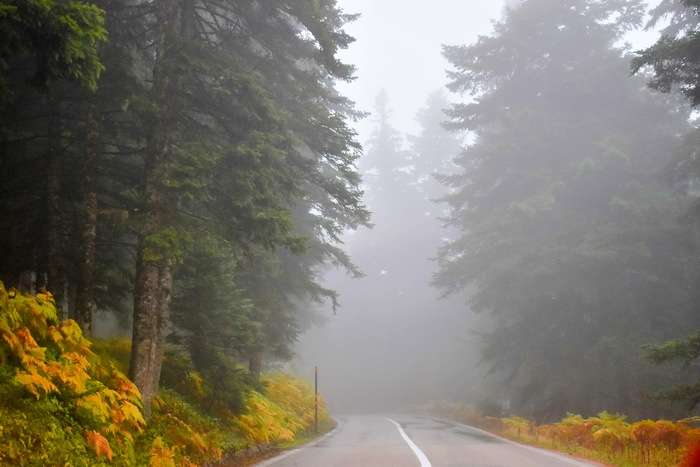 DSC_0516-EDIT (1) dsc 0516 edit 1