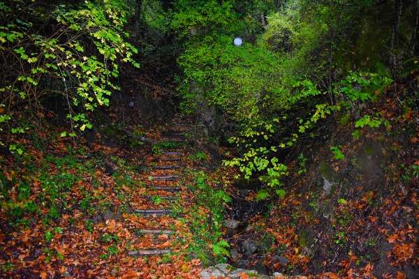 DSC_0650-EDIT-αλλαγή-σε-μεσαίο-μέγεθος