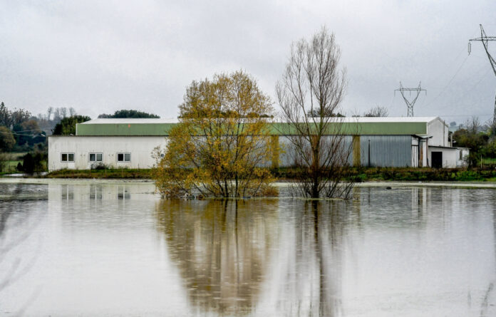 e0463384ea431f0b7515a69c454c6d76 L