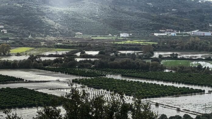 ef151e2bfd88bd0856666077eff8f2e3 L