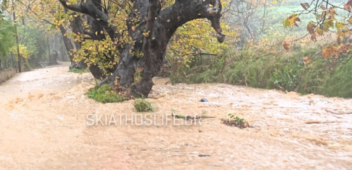 f2fb614d8204a508dc4170ad9fb7c110 L