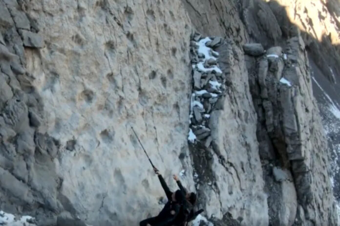 30f25f668fcfb5521440c881437032bf L