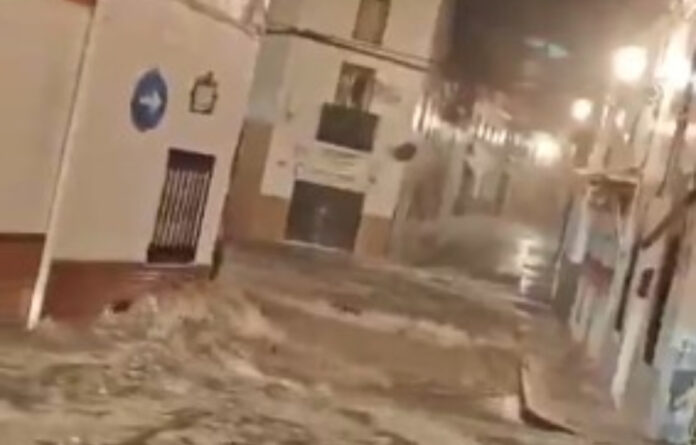 55a7cd1e5b7122b7a8a7b6ddb98051f6 L