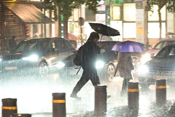 95c65bea60964a3fa11ed1877e964727 L