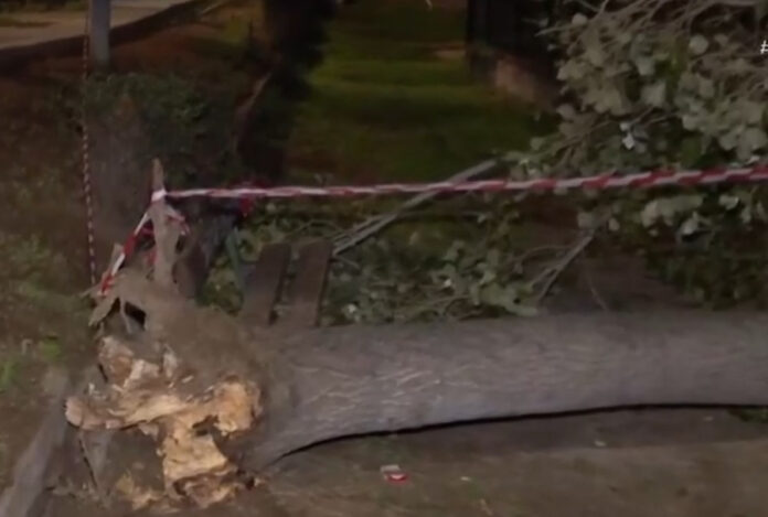 c2ecd2111b07192cf28ee40746693d13 L