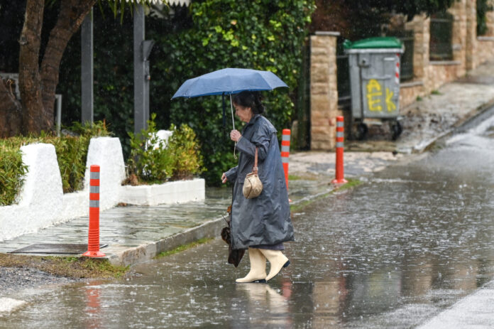 c7ba8ac41c23169531d60d969e817609 L