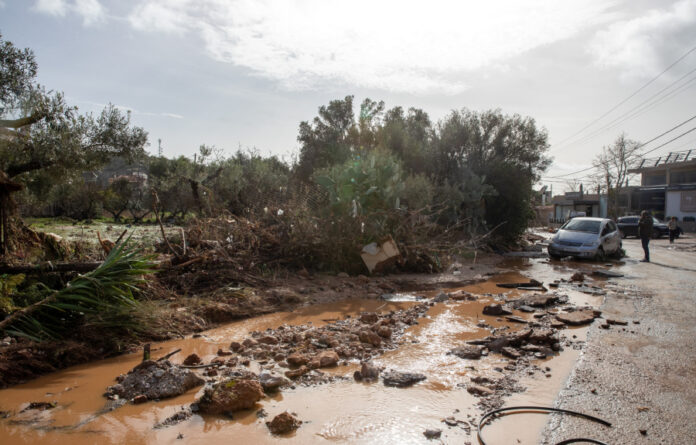 06ef3b1f3a4a12020046ce1ecbbfdf1f L