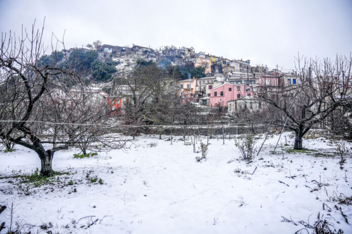 0f8d73ad552da1f460afbd5cf842a397 L