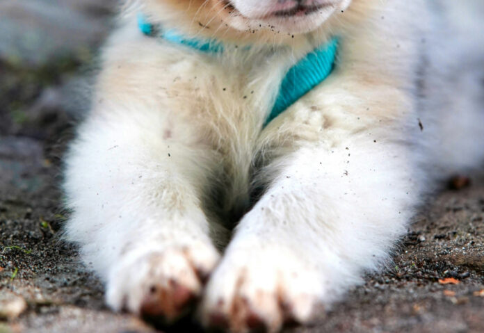 571cf67d28bd8024108b6648f64f8d19 L