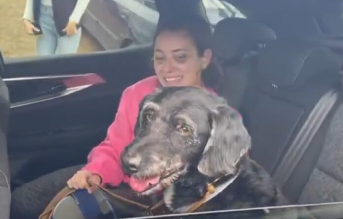 9ae8d425ea6bc958ee304e82624561f9 L