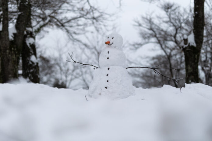 baae899701c936ccd2795ffe0a780fc8 L