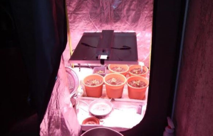 019fc79dbc5208b3e31c4b25d09afc04 L