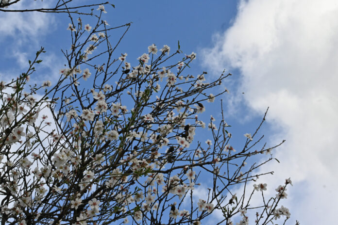 067d4916f066cd8064677553fe63a4bf L